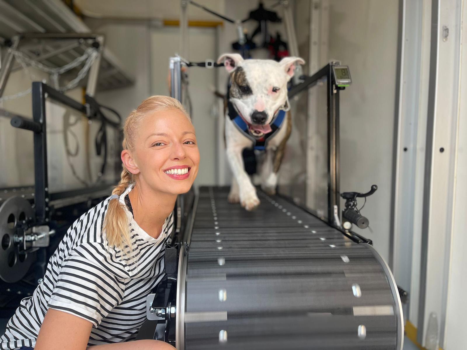 dog with van